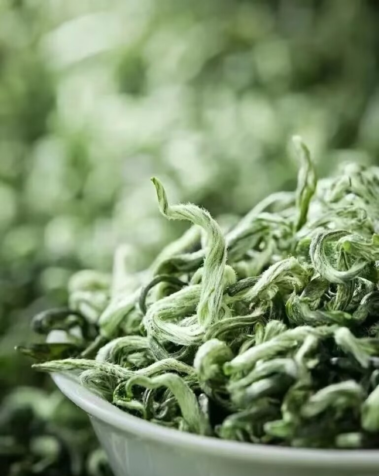 上海品茶工作室洞庭碧螺春 上海品茶工作室洞庭碧螺春